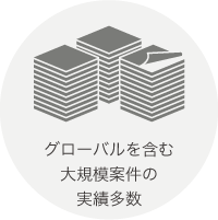 グローバルを含む大規模案件の実績多数